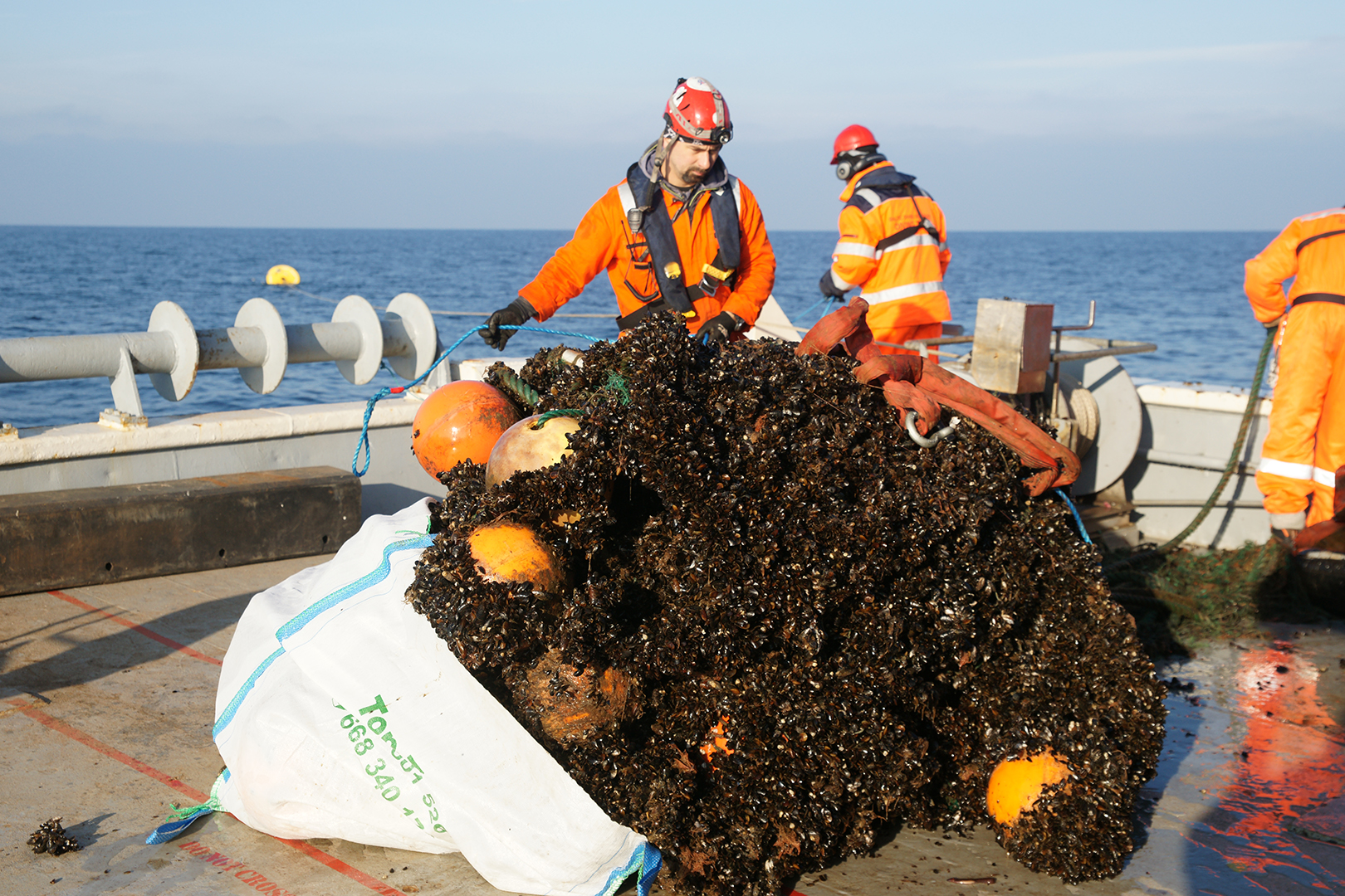 Collection of DFG in Baltic Sea