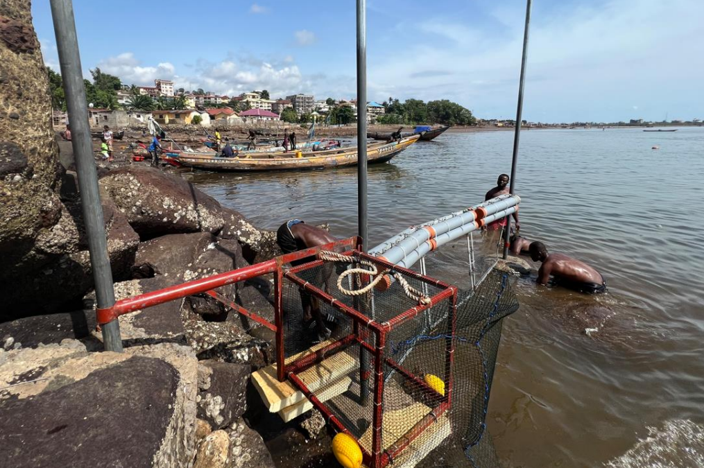 Testing of the floating barrier in Freetown, Sierra Leone