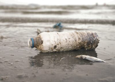 Ocean and Household Plastic from the West Coast