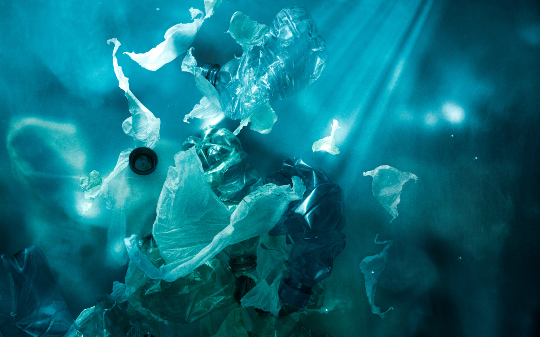 The COP project publishes report on Plastic Waste Streams into the South Baltic Sea
