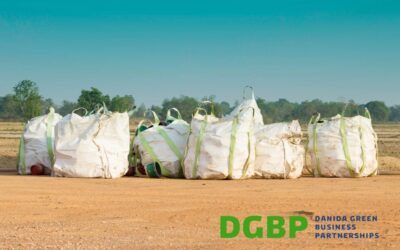 Ocean Plastic Forum Receives DGBP Funding for Recycling Project in India
