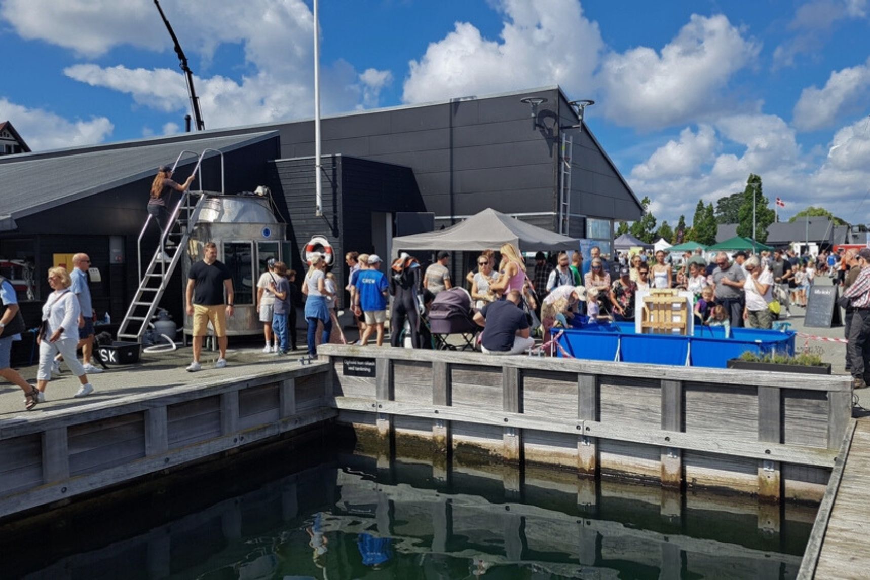 Vedbaek-dykkerklub-havnedag-2023