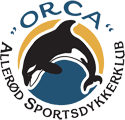 ny_orca_small