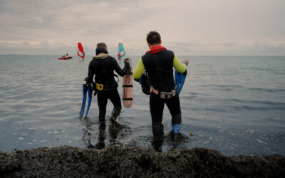 Øresundsdage 2025: Kom med under overfladen på World Cleanup Day