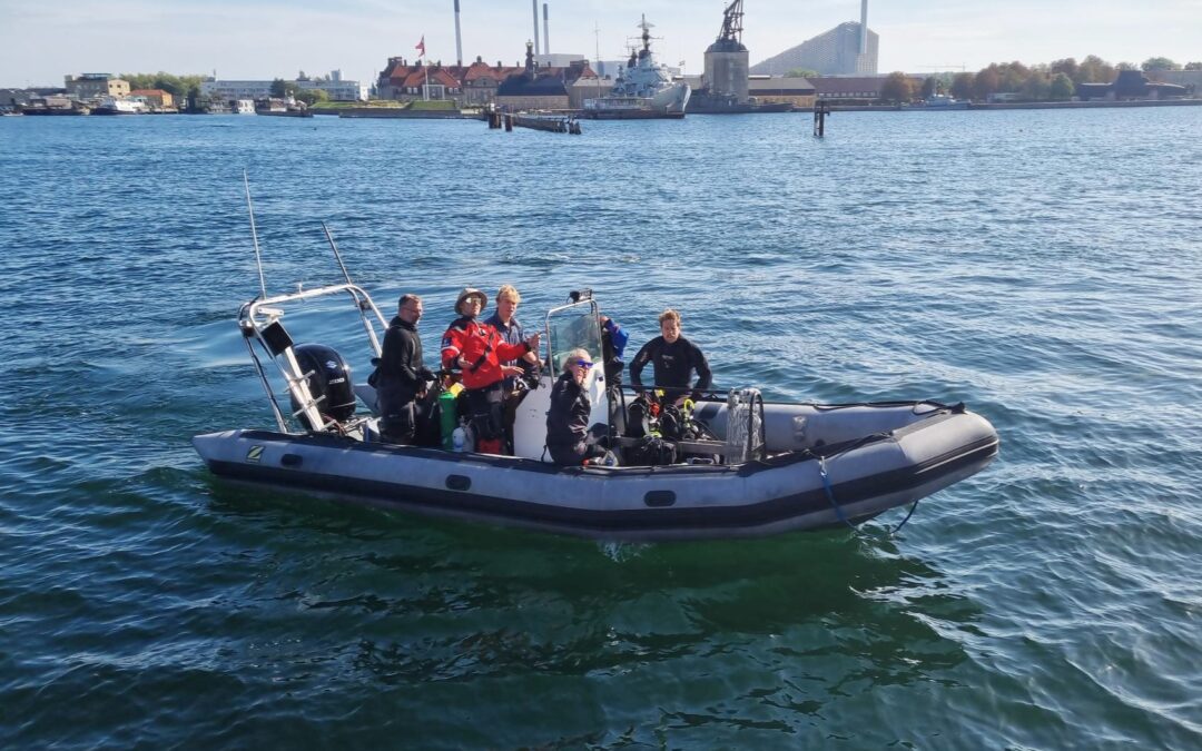 Øresund Days 2025 – World Cleanup Day