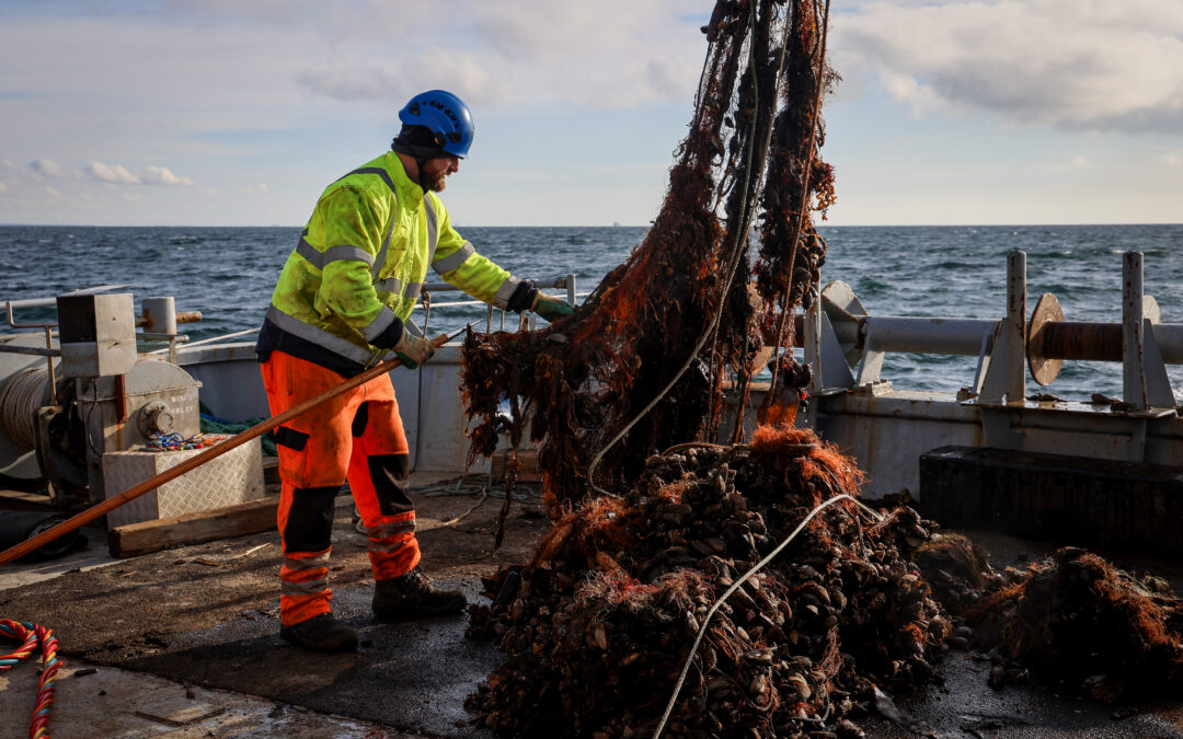 3.4 tons of ghost nets removed from the seabed in Øresund